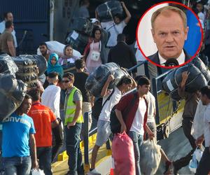 Pakt migracyjny przyjęty przez Parlament Europejski! Tusk: Polska nie zgodzi się na mechanizm relokacji
