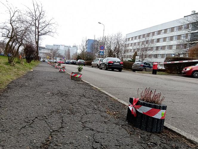 Tak się parkuje na Koszutce. Mieszkańcy mają dość