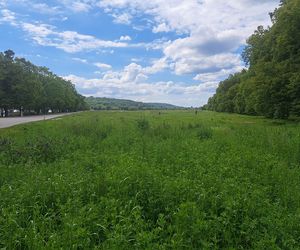 Błonia w Krakowie