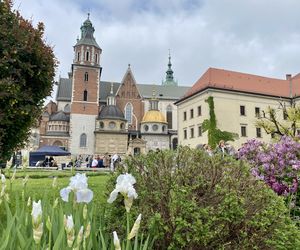 Tajemnicze miejsce mocy w Polsce. Do Krakowa zjeżdżały tłumy, by naładować się energią czakramu. Gdzie jest czakram i skąd ta legenda?