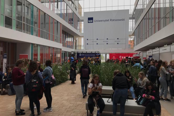 Trwa rzeszowski Salon Maturzystów