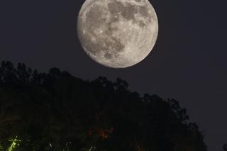 Pełnia księżyca - czerwiec 2023. Kiedy wypada?