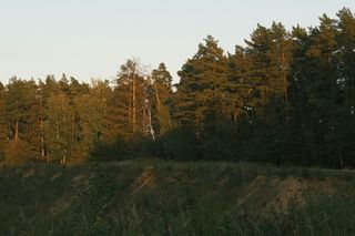 Wyjątkowa atrakcja turystyczna niedaleko małej wsi w woj. lubelskim. Jak znaleźć ośmiornicę?