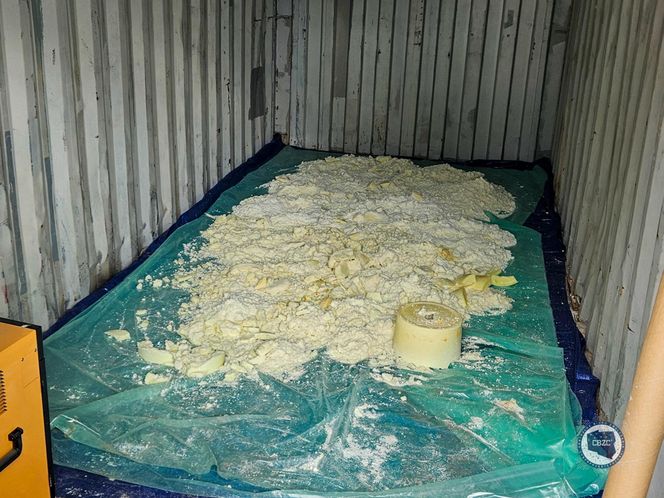 Ogromna fabryka narkotyków zlikwidowana! Grupa przestępcza w rękach policji