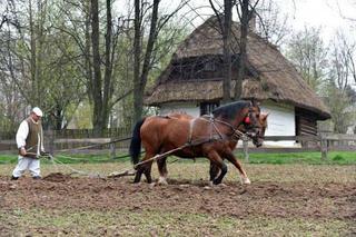 Muzeum Wsi Lubelskiej