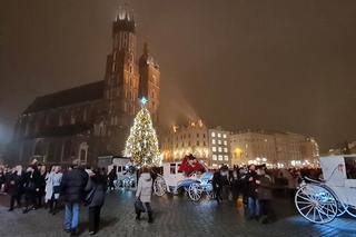 Choinka na Rynku Głównym w Krakowie