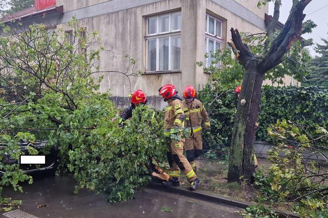 Połamane drzewa, uszkodzone dachy i samochody. To obraz po nawałnicach, które przeszły przez Tarnów i region 