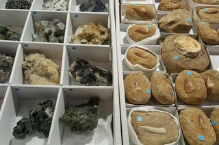 Giełda Minerałów w Sosnowcu