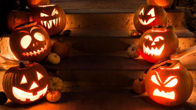 Halloween przyczynia się do efektu cieplarniarnego? Dynie emitują metan!
