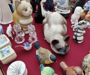 Wyjątkowe antyki ponownie zagościły na Placu Zamkowym w Lublinie. Tak wygląda wrześniowa Lubelska  Giełda Staroci [GALERIA]