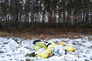 Śmieci w lasach nadal są problemem