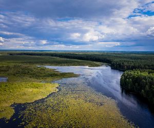 Najpiękniejsze lasy w Polsce na jesienne spacery. Gdzie warto pojechać, zanim opadną liście?