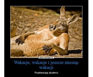 Memy o szkole i końcu wakacji