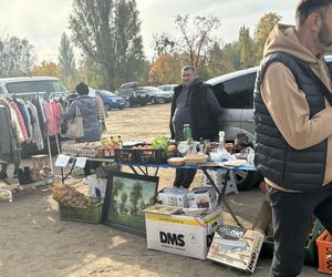 Niedzielny Targ - nowy pchli targ w Poznaniu