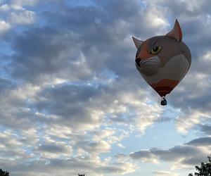 Festiwal Balonowy W Szczecinku 2 