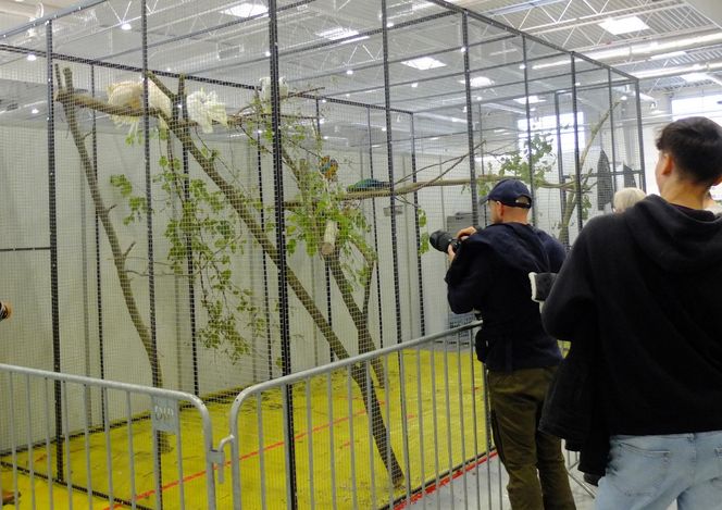 Wystawa Zoologiczna ZOOPARK w Lublinie przyciągnęła tłumy rodzin z dziećmi