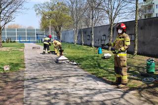 Ćwiczenia z trenażerem pożarowym w Toruniu! Zdjęcia robią wrażenie