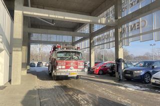 Mikołaj odwiedził małych pacjentów Matki Polki. Rozdano aż 300 prezentów [ZDJĘCIA]