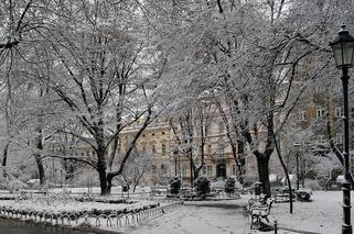Idzie zima! W Krakowie spadnie śnieg [PROGNOZA POGODY]