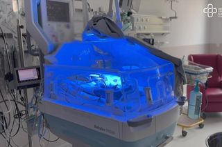 Trojaczki w szpitalu na Pomorzanach