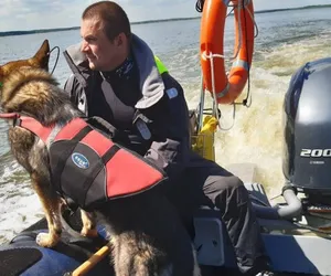 Pies policjant z Koszalina brał udział w poszukiwaniach zaginionej osoby