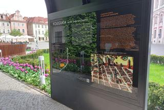 Plac Kolegiacki - nowa przestrzeń z wyjątkową historią