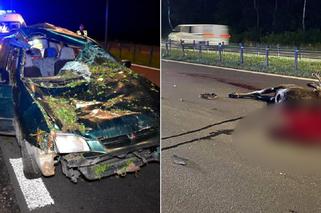 Mitsubishi rozbite, łoś zabity. Potworny wypadek w Wawrze, dwoje dzieci w szpitalu [ZDJĘCIA]