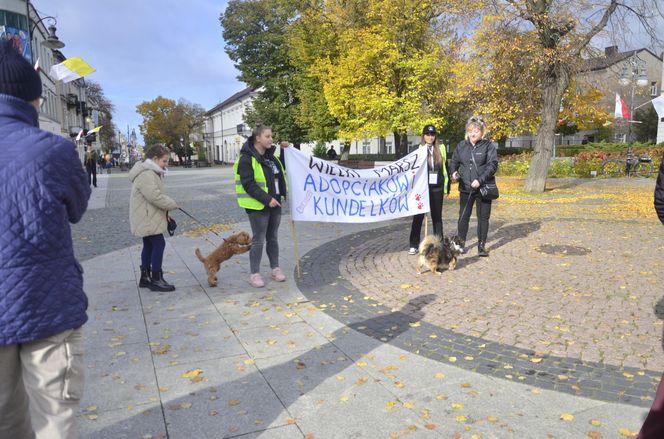 Wielki marsz adopciaków w Radomiu
