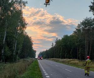 Wypadek pod Kościanem. Zderzenie samochodu z jeleniem doprowadziło do czołówki