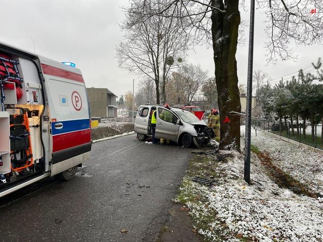 Pszczyna. Nie żyje 57-letni kierowca peugeota. Podczas wyprzedzania zjechał na pobocze i uderzył w drzewo