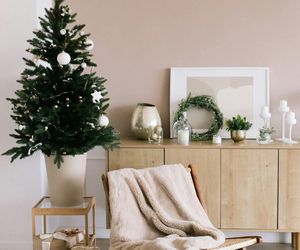 Gotowe choinki z ozdobami czy żywe drzewka? Nowoczesna choinka na pniu to hit! Zobacz 20 inspiracji