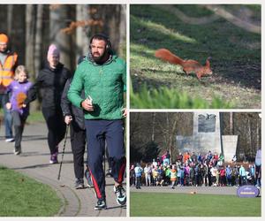 Parkrun w Katowicach znów przyciągnął tłumy