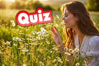 QUIZ. Przysłowia o wiośnie. Każdy zna odpowiedź na pierwsze pytanie, ale jedna jaskółka wiosny nie czyni!