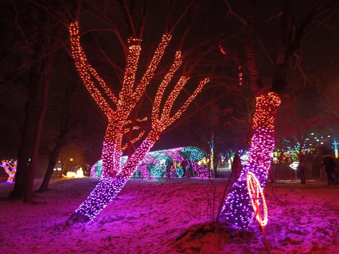 Odwiedziłam Ogród Świateł w Gdyni. Poczuj ze mną magiczny klima