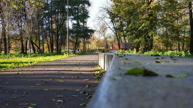 Park Ludowy w listopadowej odsłonie!