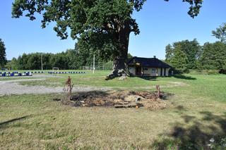 Dożynkowe dekoracje w gminie Niwiska doszczętnie spalone. Policjanci szukają podpalaczy