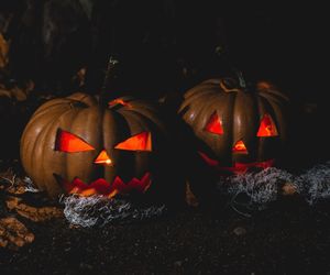 W tym schronie będzie straszyło. Wszyscy miłośnicy mrocznych klimatów, będą mogli wziąć udział w Poznańskim Halloween 2024!