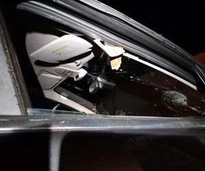 Drzewo runęło na jadący samochód! O krok od tragedii na DK 10 pod Bydgoszczą