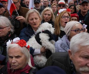   Marsz przeciw imigracji w Warszawie [10.05.2025]