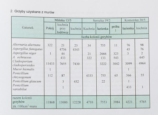 Ten grzyb nas zabije! Przerażające warunki w mieszkaniu komunalnym na Mińskiej.