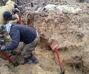 Lubelskie. Szczeniaki uwięzione w lisiej noże. Strażacy kopali w zmarzniętej ziemi przez 3 godziny