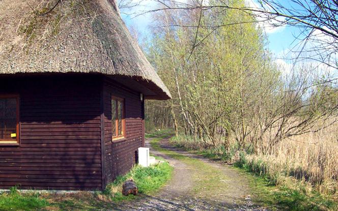 Rezerwat nad jeziorem Świdwie