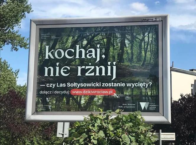 „Kochaj, nie rżnij”, „Chcemy bzykać w spokoju" czy „Chcemy mieć mokro”