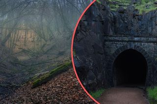 Tajemniczy tunel i trzy wagony. Nadleśniczy ujawnia