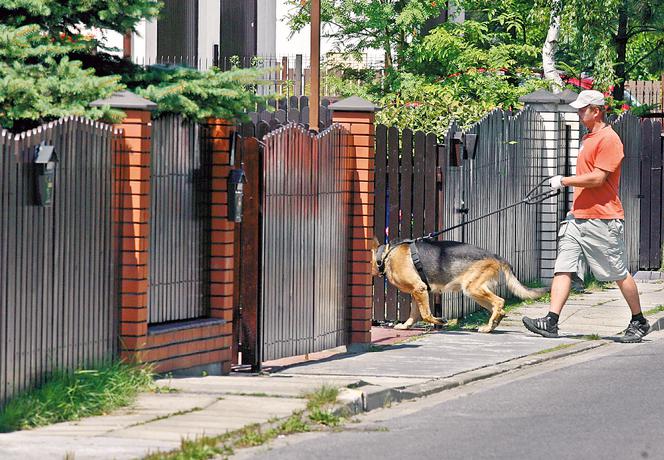 Rurabomber terroryzuje Kraków