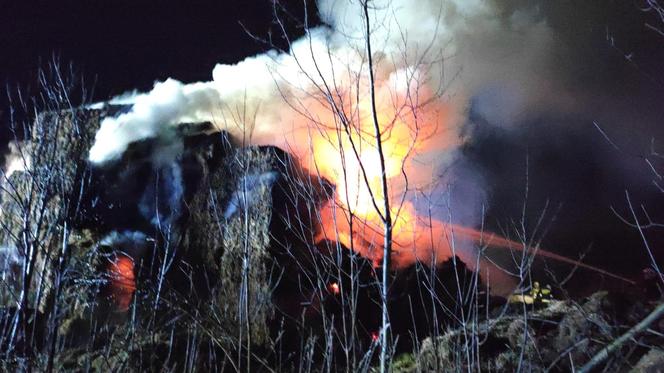 Ogromy pożar we Fromborku. Płonęło kilkaset sztuk kostek słomy [ZDJĘCIA]