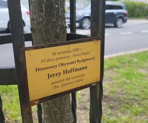 Aleja Dębowa w Bydgoszczy, czyli żywa historia wśród zieleni