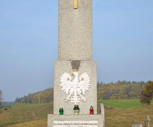 Radziki Duże