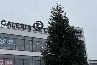 Święta 2024. W Lublinie trwają wielkie przygotowania do świąt