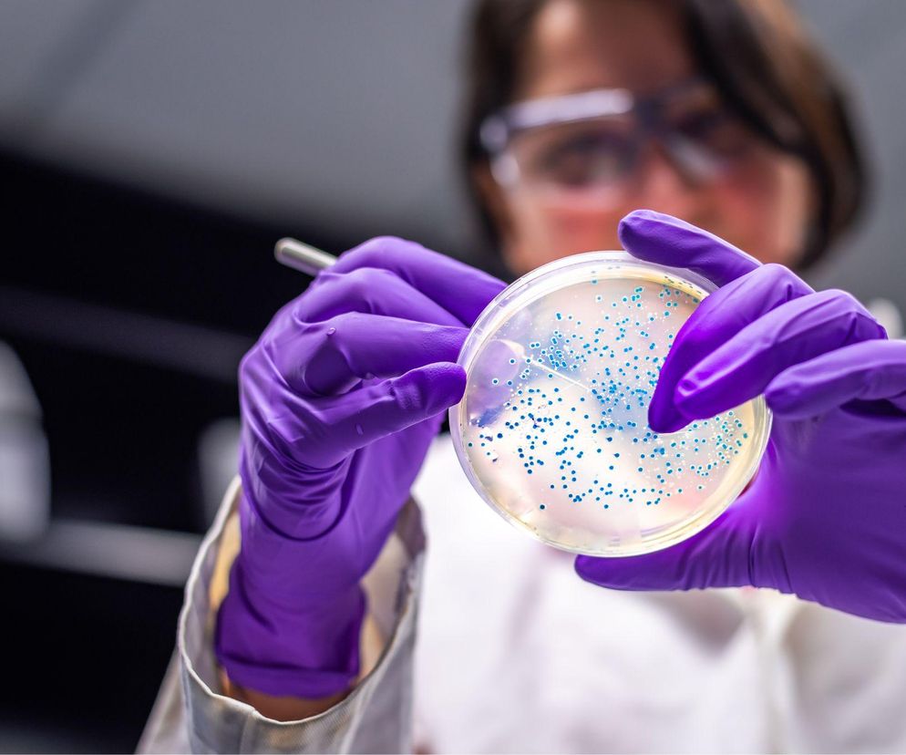 Sprytniejszy niż superbakterie. Nowy antybiotyk daje nadzieję na pokonanie wielu chorób 